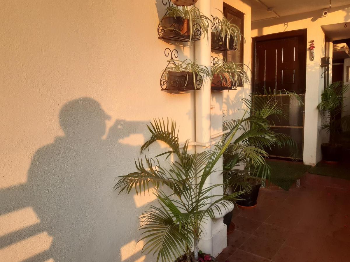 Tiny House For Couple Daire Madikeri Dış mekan fotoğraf